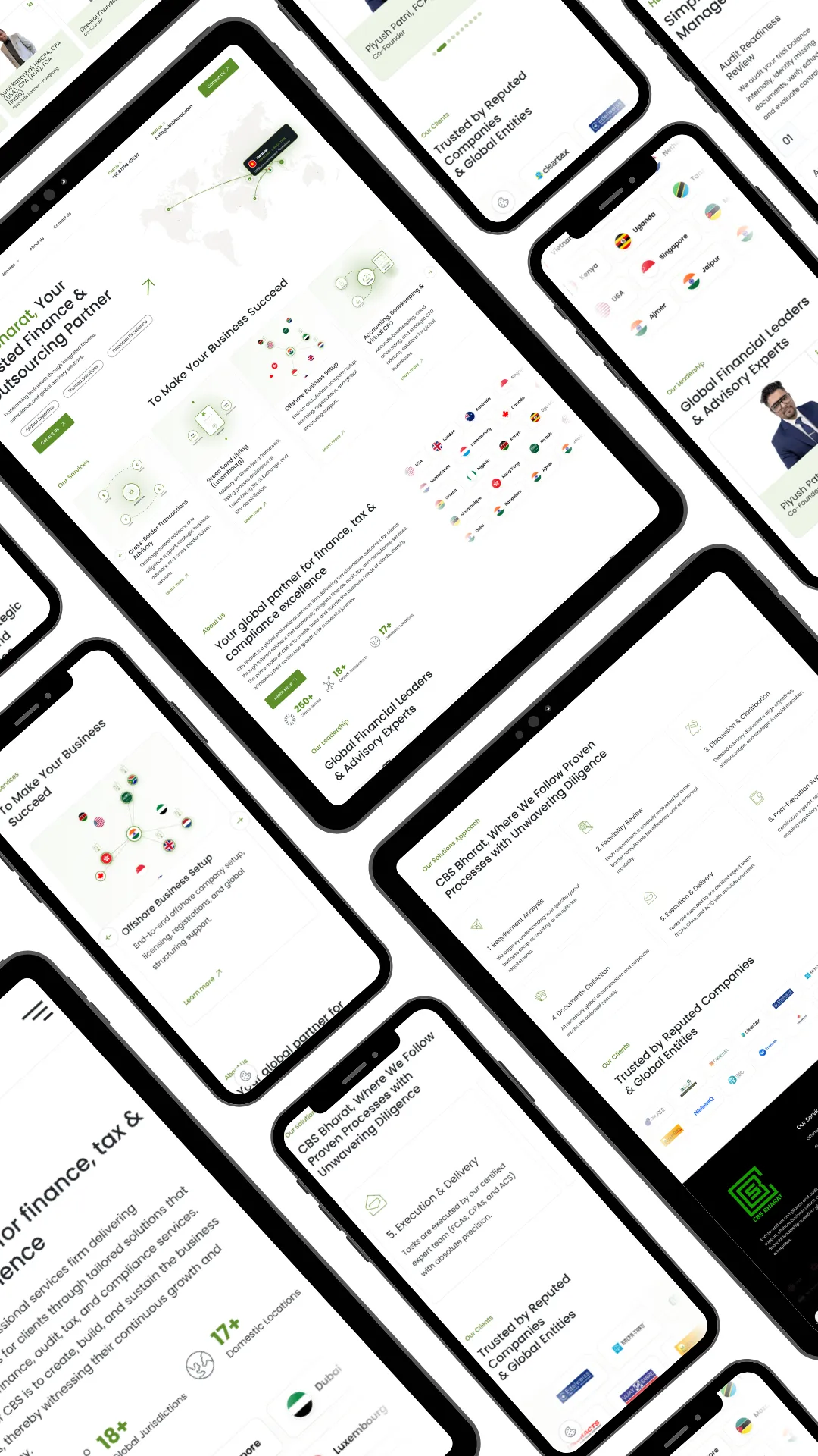 Audit Firm Website